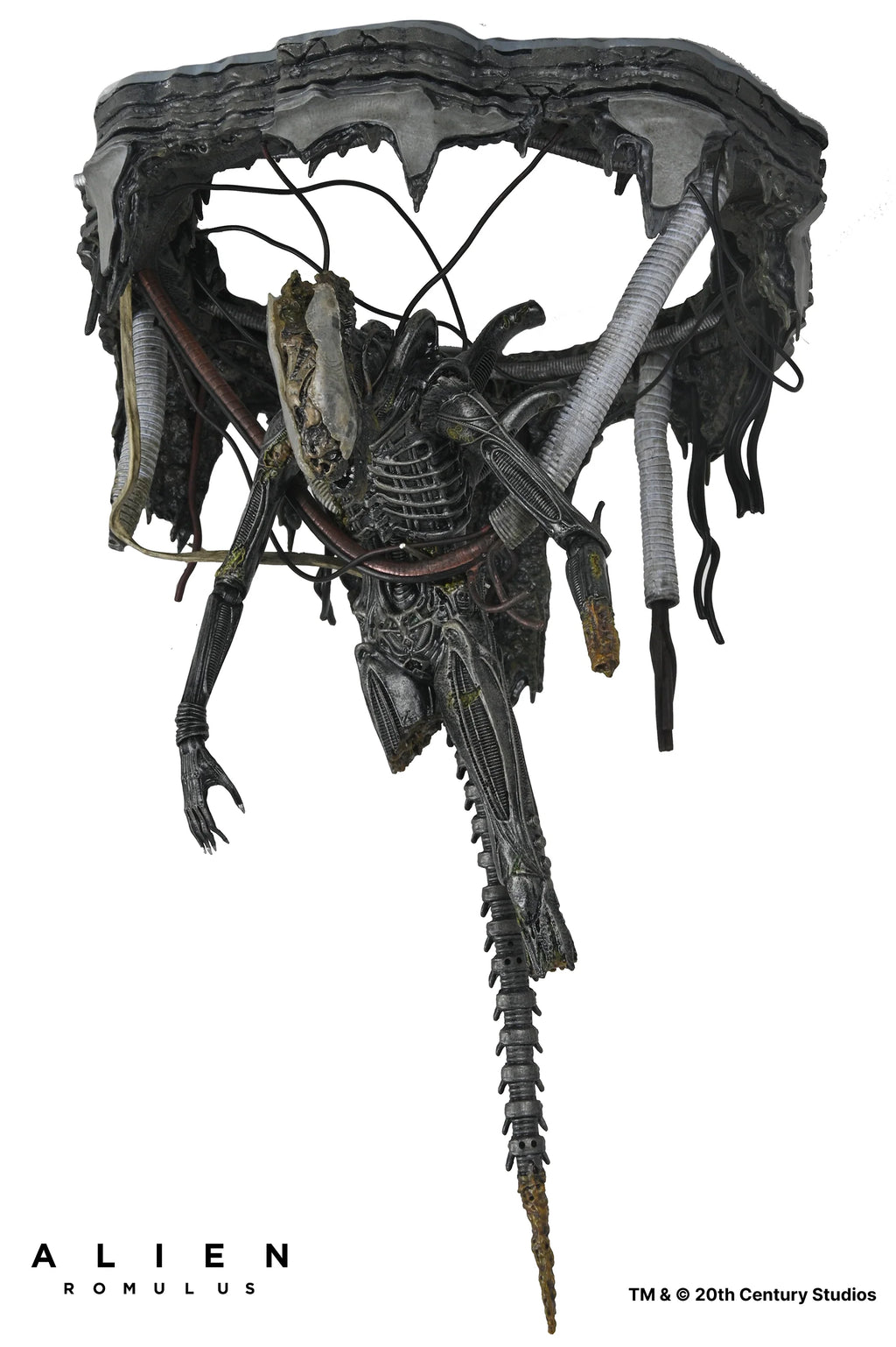 Alien Romulus Suspended Lab Xenomorph XX121