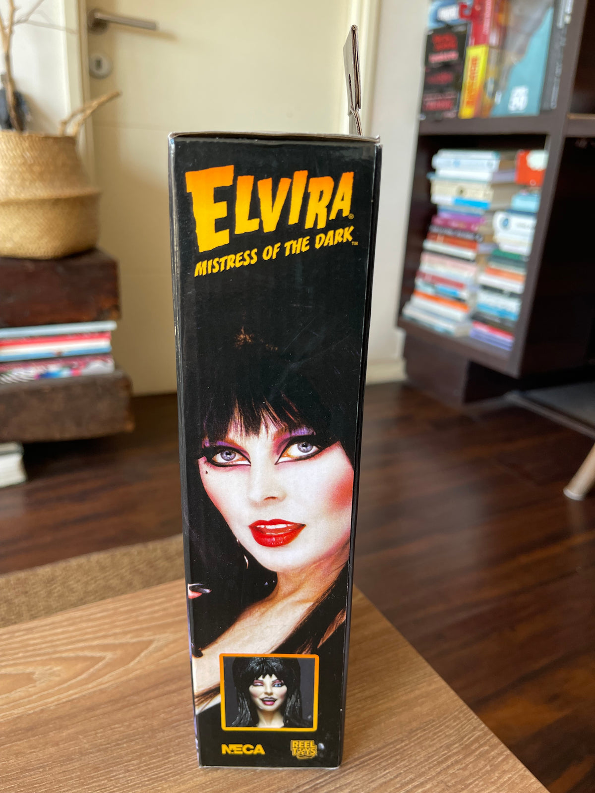 🖤💀 ELVIRA – MISTRESS OF THE DARK 💀🖤
✨ NECA – CLOTH FIGURE ✨