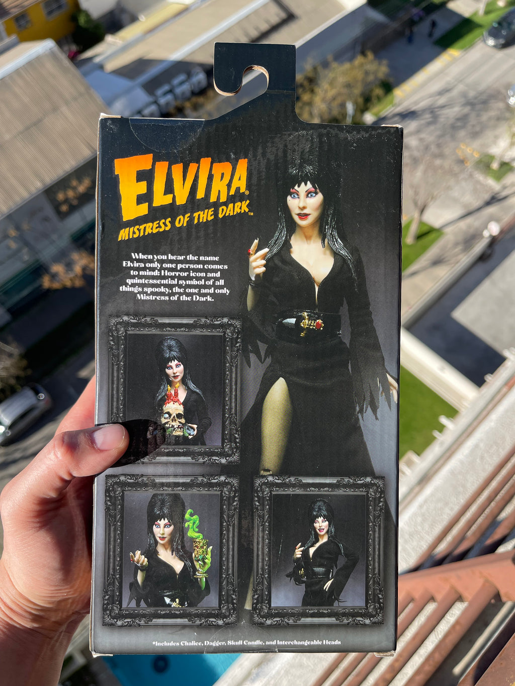 🖤💀 ELVIRA – MISTRESS OF THE DARK 💀🖤
✨ NECA – CLOTH FIGURE ✨